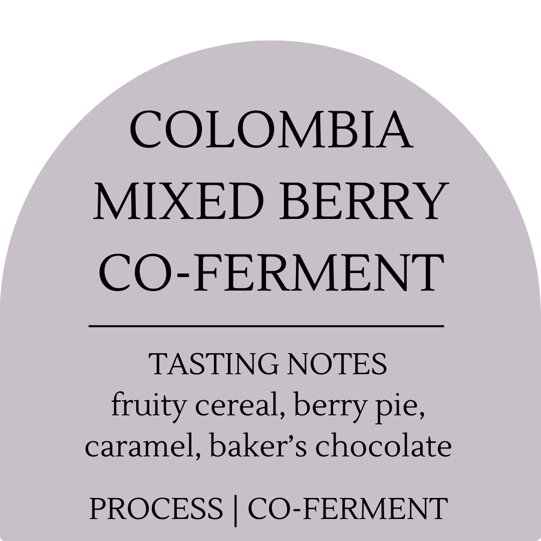 Colombia Mixed Berry Co-Ferment
