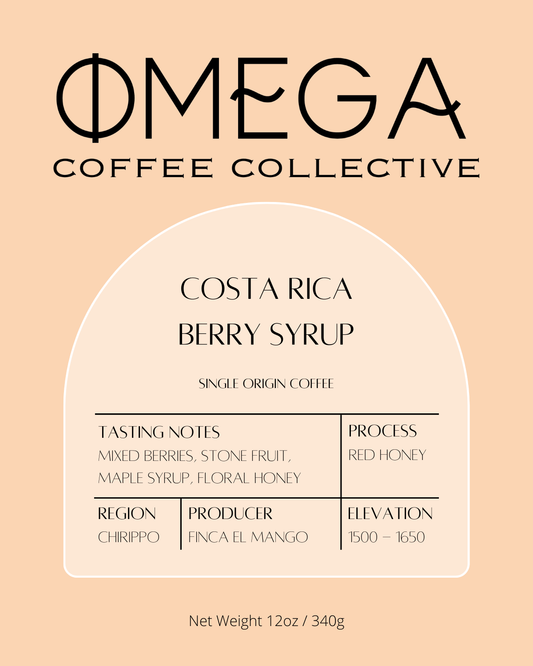 Costa Rica Berry Syrup