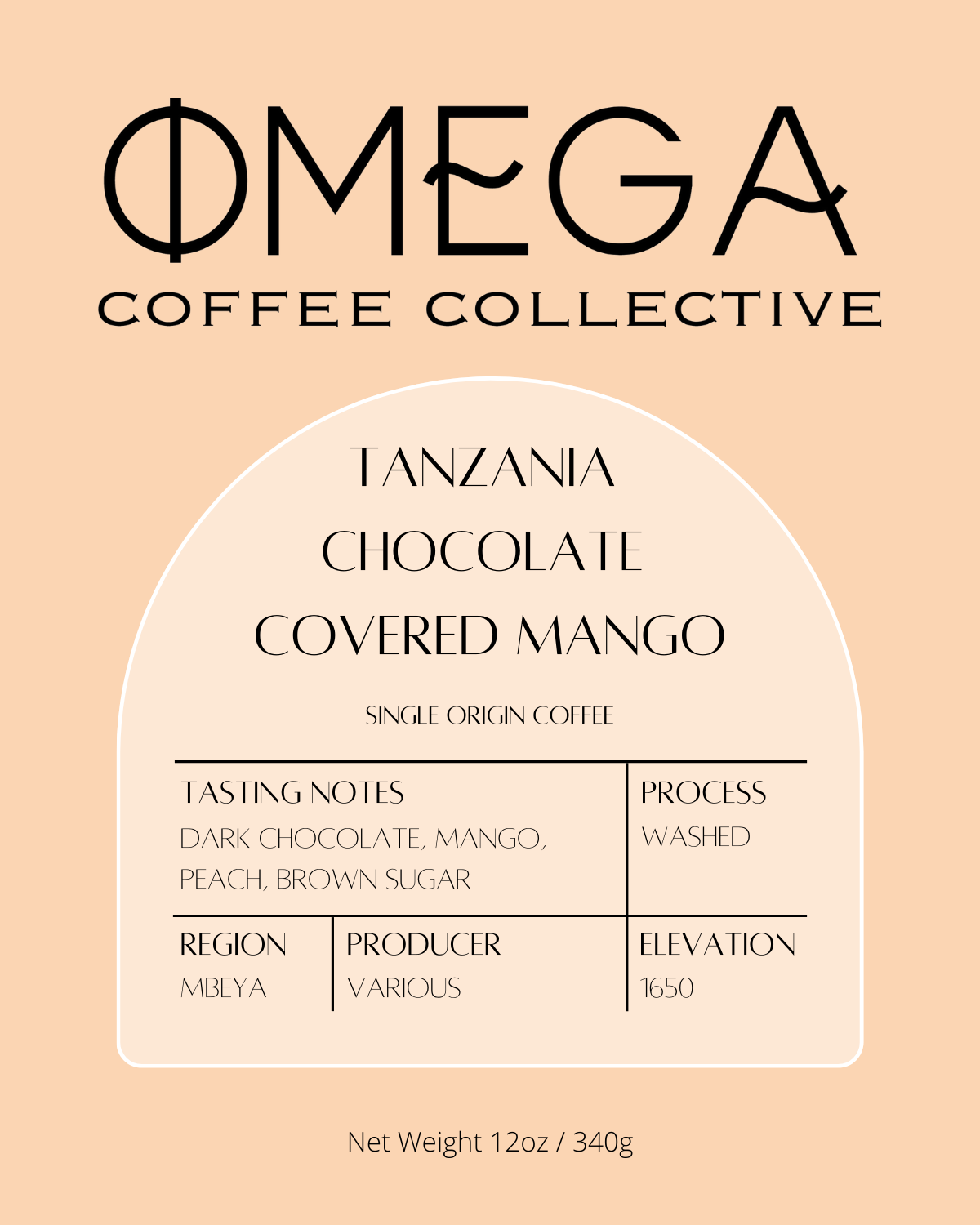 Tanzania Chocolate Covered Mango