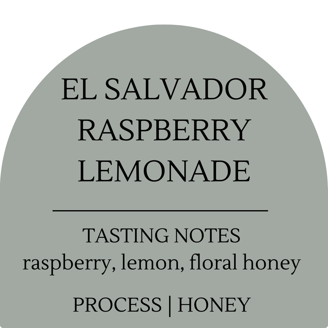 El Salvador Raspberry Lemonade