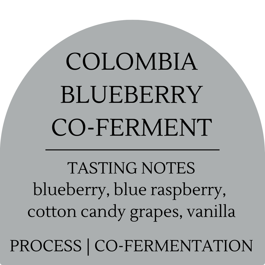 Colombia Blueberry Co-Ferment