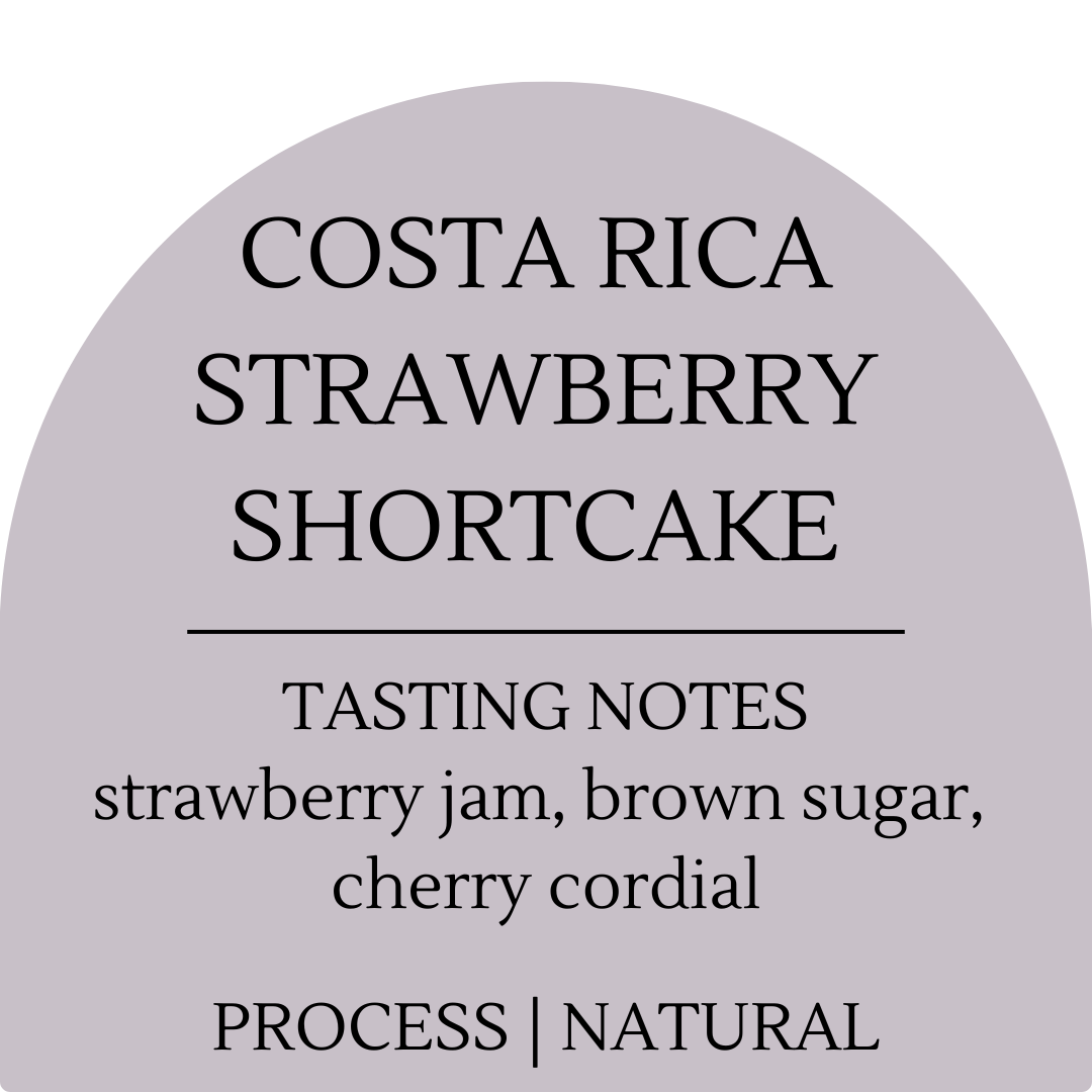 Costa Rica Strawberry Shortcake